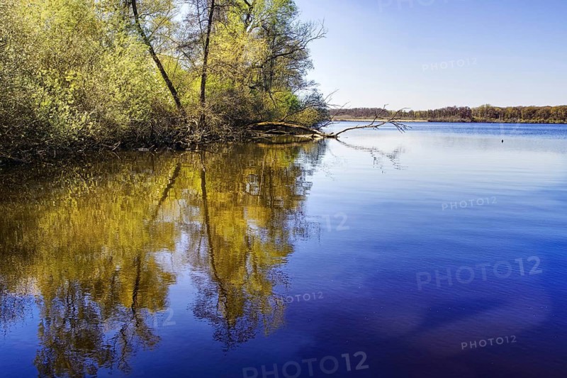 Still lake, Glabbacher Bruch (Krickenbecker Seen) with reflecting trees and calm water surface under a clear sky, Nettetal, Lower Rhine