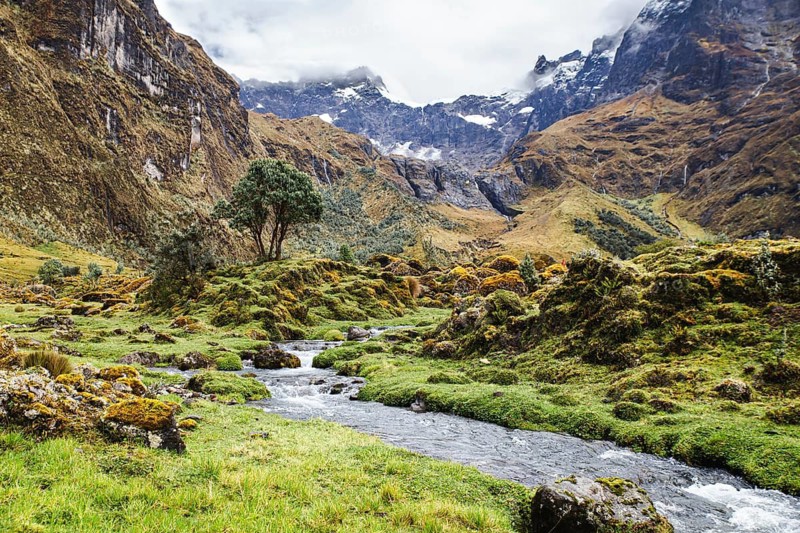 A peaceful mountain stream meanders through lush green meadows at El Altar volcano, Ecuador, surrounded by rugged peaks, misty clouds, and vibrant alpine vegetation
