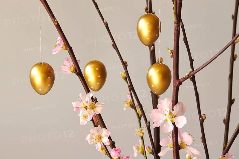 Blooming branches of a peach tree in a vase decorated with Easter eggs, spring, Germany