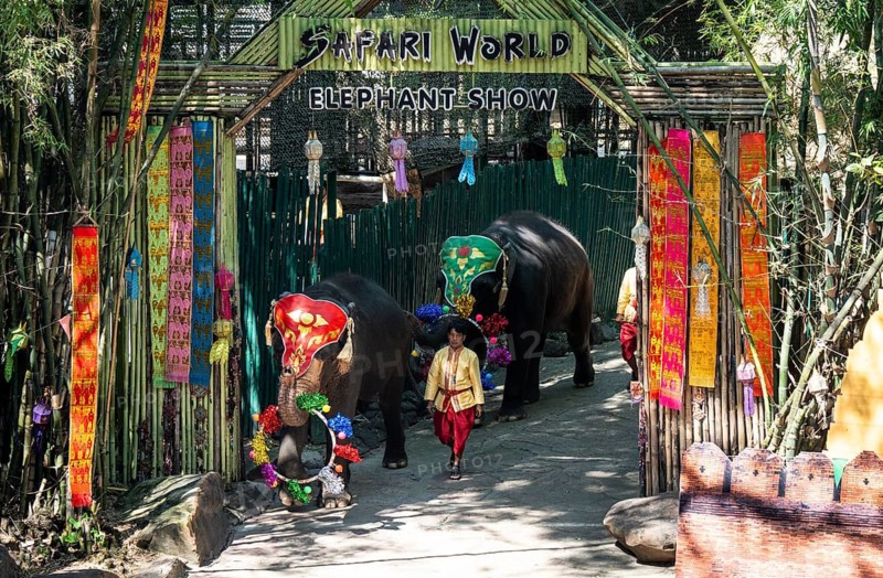 Decorated elephants perform with colorful props as handlers guide them during a live show at Safari World, in Bangkok, Thailand on 30 November 2025