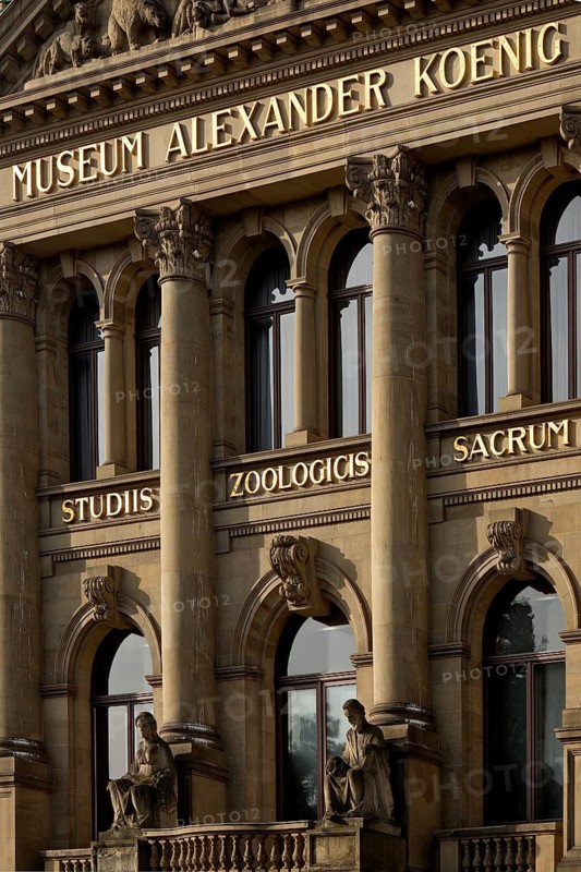 Museum Koenig, Natural History Museum and station of the history trail Weg der Demokratie, Bonn, North Rhine-Westphalia, Germany