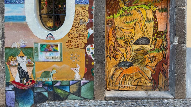 Colourfully painted doors on Santa Maria Street in the old town, Funchal, Madeira, Portugal