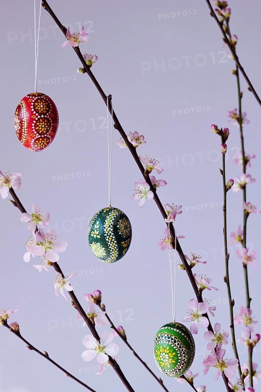 Blooming branches of a peach tree in a vase decorated with Easter eggs, spring, Germany