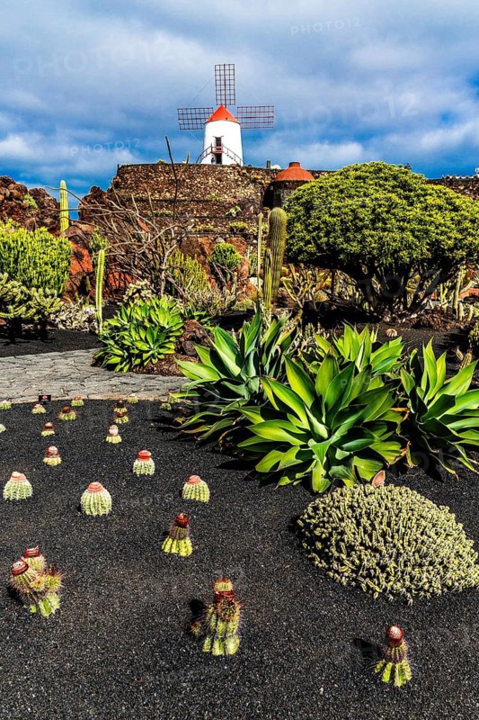 Gofio mill in the Jardin de Cactus with more than 10,000 cacti by Cesar Manrique, Guatiza, Lanzarote, Canary Islands, Spain
