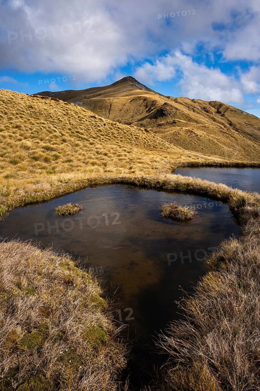 Mountain landscape with small lakes. Mount Burns, Borland Road Area, Fiordland National Park, Southland Region, South Island, New Zealand