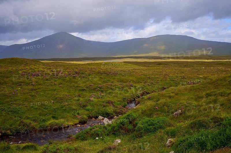 Green meadows and a flat valley with a small river surrounded by mountains under cloudy skies, Rannoch Moor, Bridge of Orchy, Scotland, United Kingdom, Great Britain