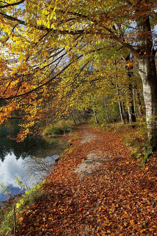 Autumn mood at lake Almsee, Grünau, Austria, Totes Gebirge