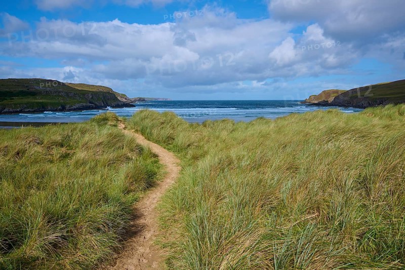 A trail snakes through grassy dunes overlooking the sea, Farr Bay, Bettyhill, Thurso, Scotland, United Kingdom, Great Britain