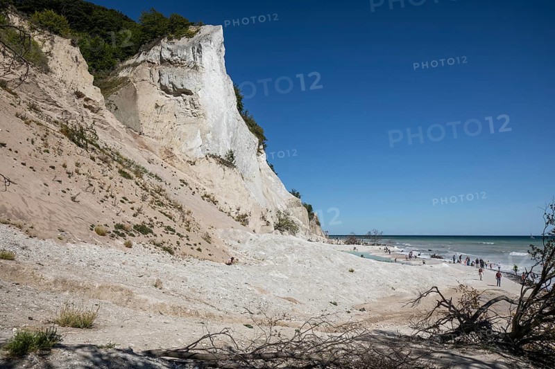 Crowds of tourists walk along the pebble beach beneath the towering white chalk cliffs. The shoreline features a milky, turquoise sediment pool, highlighting the environmental pressure on this UNESCO site. Møns Klint, Denmark