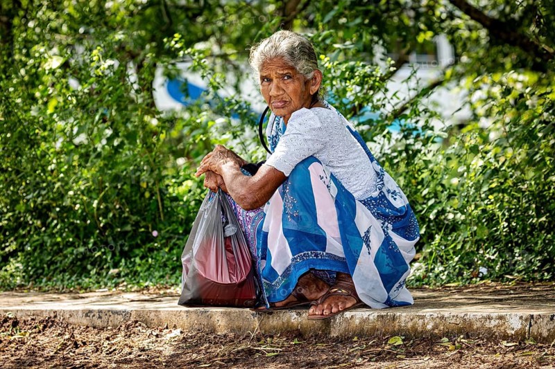 An elderly woman sits thoughtfully in a sari on a sidewalk surrounded by trees, An elderly woman sitting on the side of the road near Sigiriya in Sri Lanka