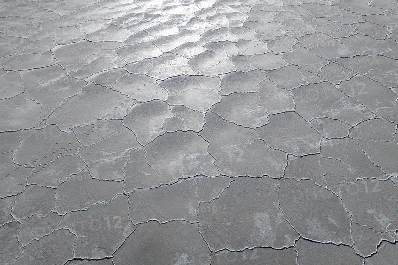 An expansive view of cracked saline mud under the sun's light, highlighting the stark texture and intricate pattern. Perfect for depicting arid landscapes or natural textures