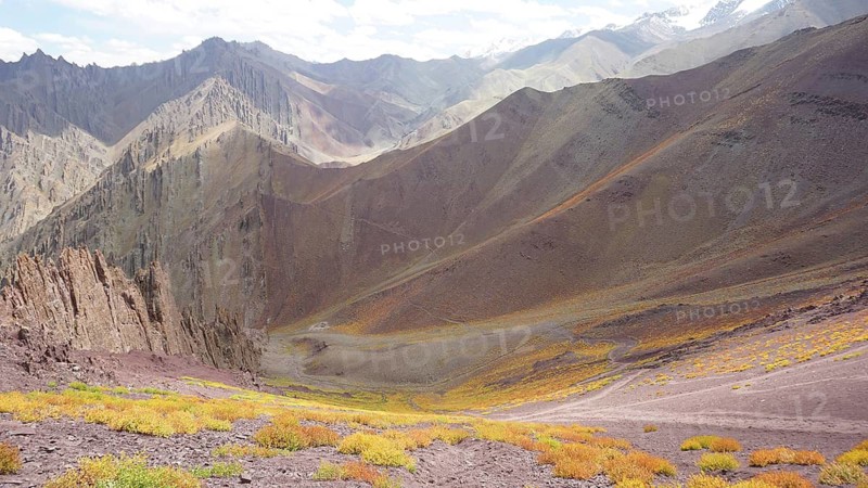 Colourful valley with colorful vegetation, mountainous background under a clear sky, trekking at Stok La Pass in Ladakh, Himalayas, India
