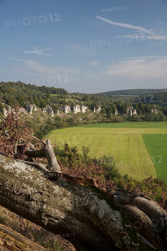 12 Apostels rock formation in the Altmühl valley nature park close to Solnhofen in Bavaria, Germany