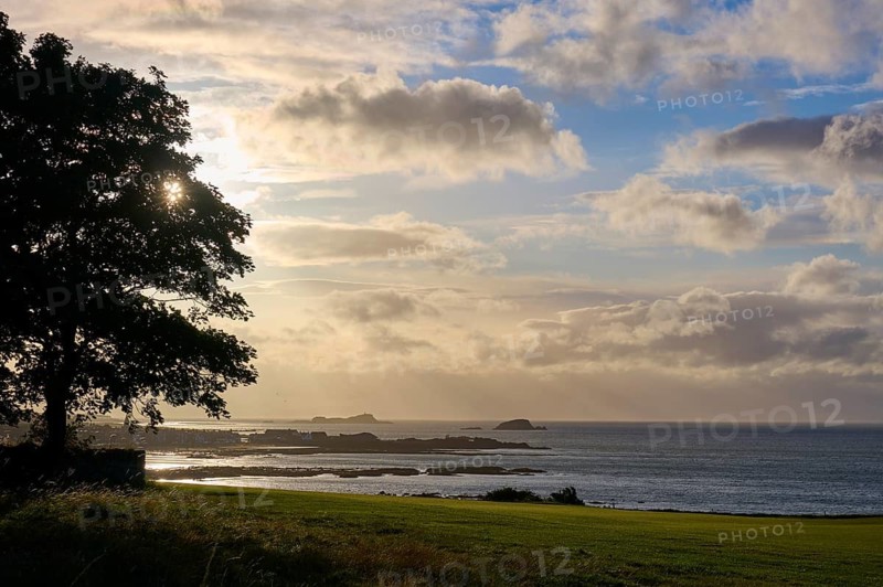 Sun behind tree sinks over ocean in warm evening mood, North Berwick, East Lothian, Scotland, United Kingdom, Great Britain