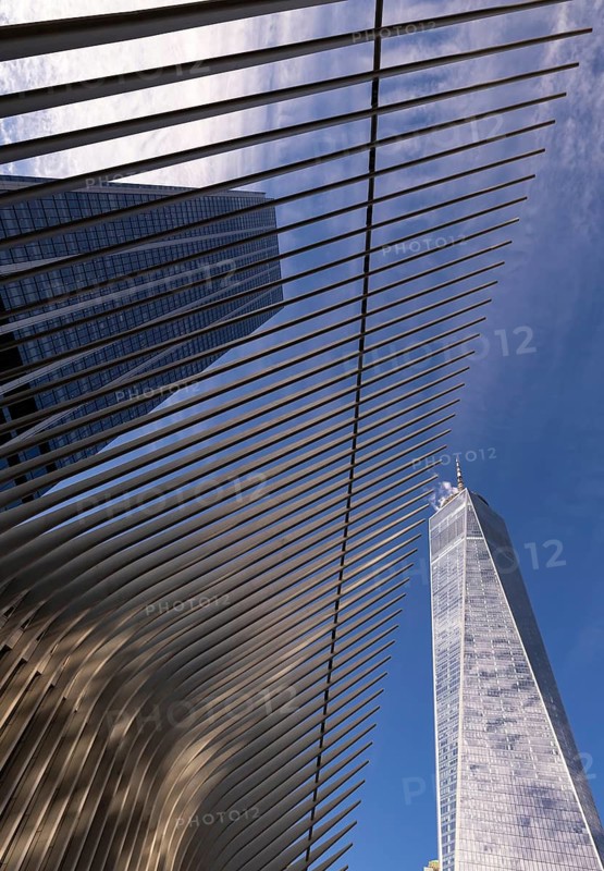 From below an architectural look from below at the impressive skyscrapers of New York, featuring sharp lines and reflective surfaces that converge with the sky