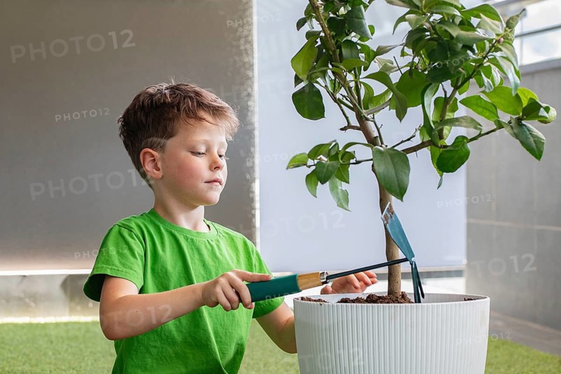 A young boy in a green shirt tends to a potted plant indoors. He uses a garden tool to care for the soil. The setting is bright and peaceful, promoting gardening and mindfulness