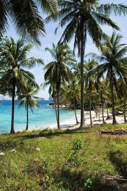 Konkare Bay on Racha Yai Island off the southern tip of the Thai holiday island Phuket, Thailand, Siam, Asia, Southeast Asia, palm trees, coconut trees, beach, sandy beach, paradise, beach