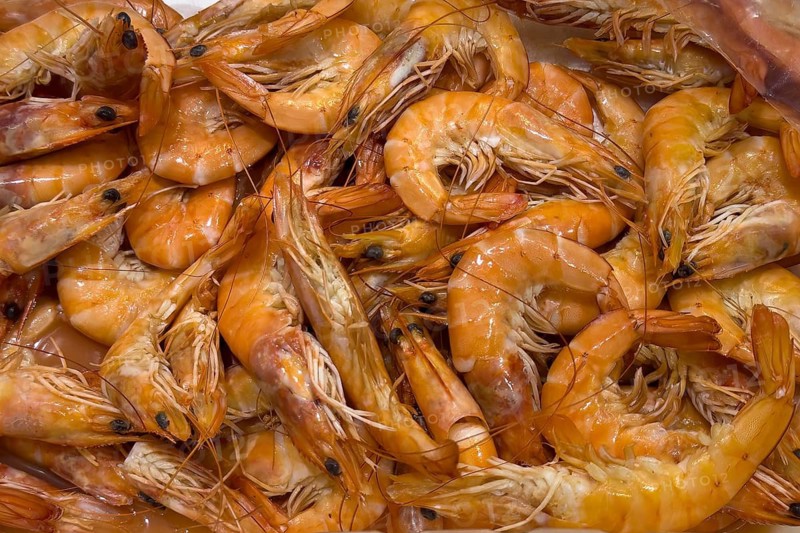 Whiteleg shrimp (litopenaeus vannamei) Whiteleg shrimp cooked imported from Ecuador on ice in refrigerated counter fish counter from fishmonger fishmonger, food trade, wholesale, fish trade, speciality shop, Germany