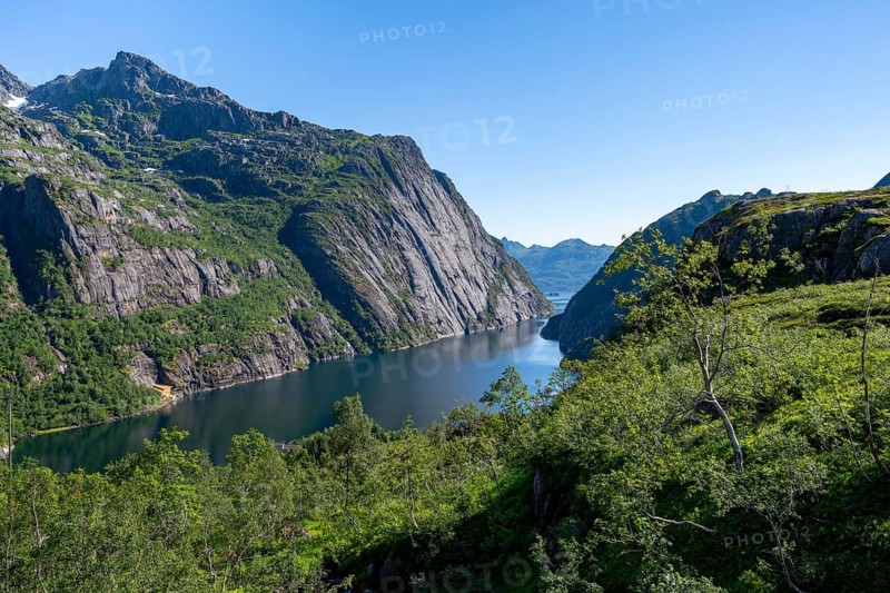 View of fjord Trollfjord, fjord landscape with birch forest and mountains, Lofoten, Nordland, Norway