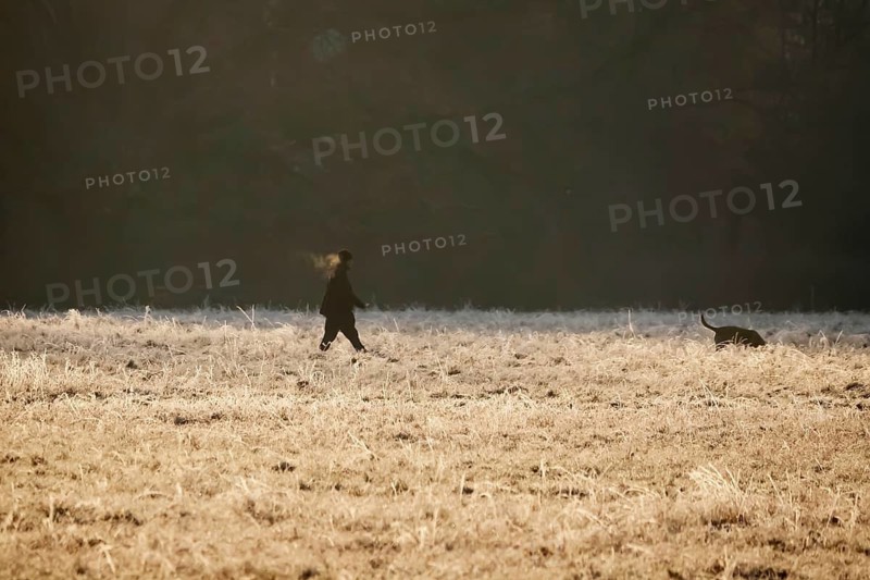 Walk with dog, winter morning, Germany