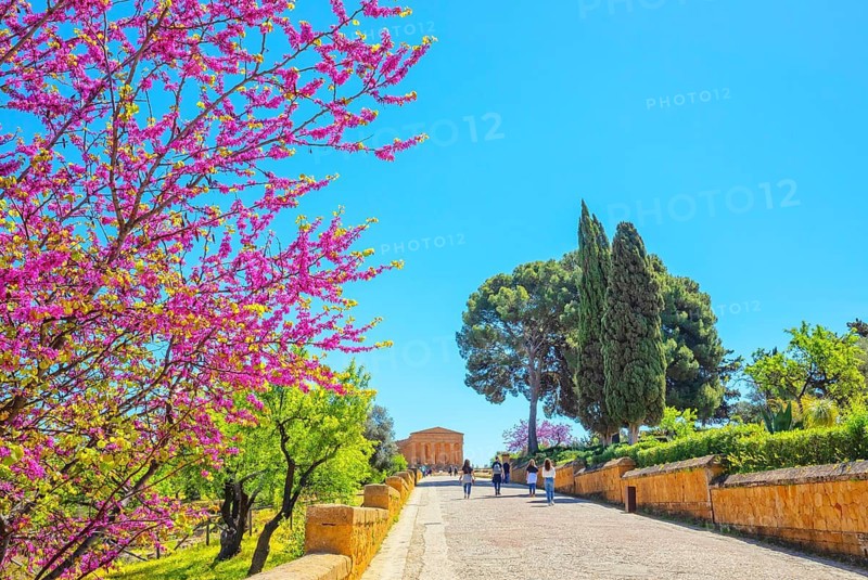 Temple of Concordia, Valley of Temples, Agrigento, Sicily, Italy