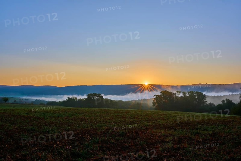 Sunrise over a foggy corn field with hills and trees in the background in a quiet atmosphere, Großheubach, Miltenberg, Spessart, Bavaria, Germany