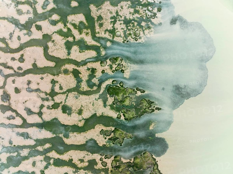 Network of channels and streams at low tide at their confluence with a larger body of water, in the marshland of the Bahía de Cádiz, aerial view, drone shot, Cádiz province, Andalusia, Spain