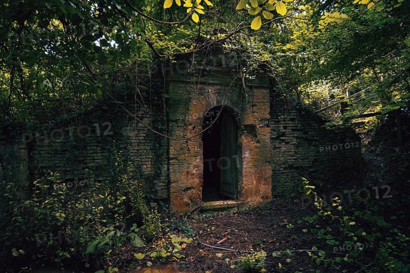 A mysterious overgrown stone entrance near Chateau Caumont in France Surrounded by dense greenery, the rustic doorway evokes a sense of history and hidden secrets in the Loire region
