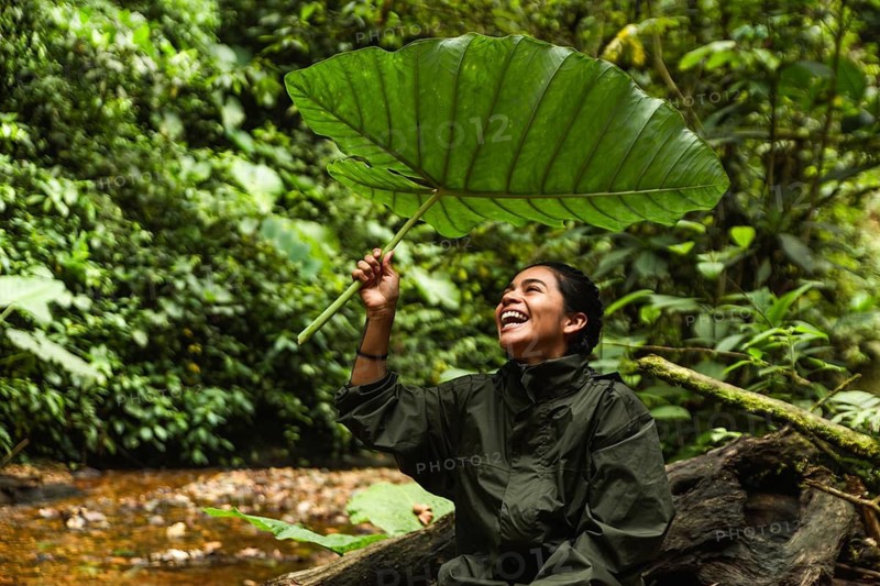 Young Ecuadorian woman enjoys nature under a large leaf in the biodiverse Choco Andino rainforest of Ecuador. The image captures her delight and connection with the tropical setting