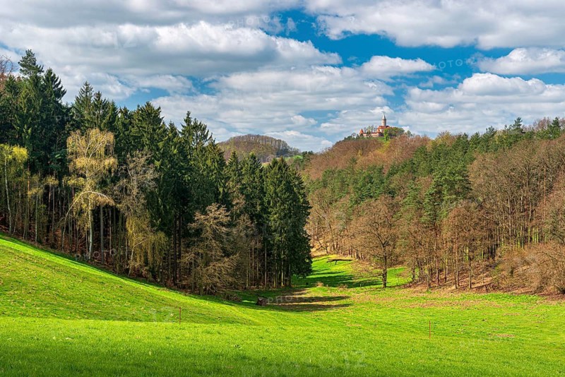 View of hilly landscape with forest and meadow, Leuchtenburg in the back, Seitenroda near Kahla, Thuringia, Germany