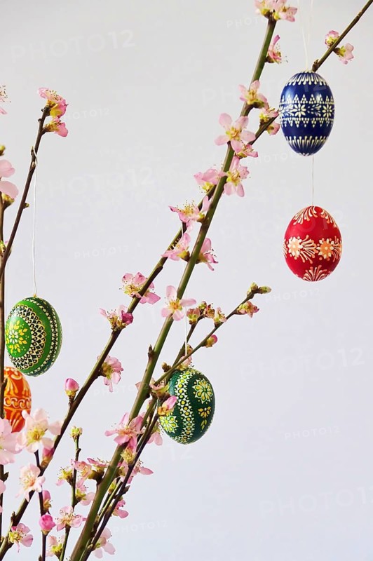 Blooming branches of a peach tree in a vase decorated with Easter eggs, spring, Germany