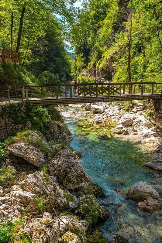 Tourist enjoying breathtaking view of tolmin gorges in slovenia, walking on a wooden bridge over a clear, turquoise river surrounded by lush green forest
