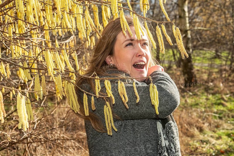 Young Caucasian woman with allergy problem stands by flowering hazel bush and sneezes in the crook of her arm in Ystad, Skåne County, Sweden, Scandinavia