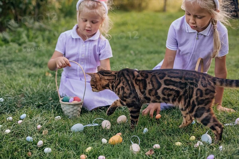 Two children in purple outfits enjoy an Easter egg hunt in a garden, accompanied by a curious cat. Colorful eggs surround them on the lush green grass