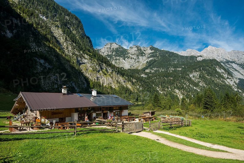 Mooskaser Saletalm, Königssee, Schönau, Berchtesgaden National Park, Berchtesgadener Land, Upper Bavaria, Bavaria, Germany