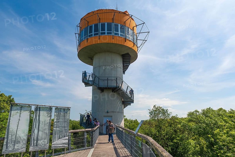 Viewing platform on the treetop walk in the UNESCO World Heritage Site and Hainich National Park, tower, stairs, information boards, sunshine, visitors, Bad Langensalza, Thuringia, Germany