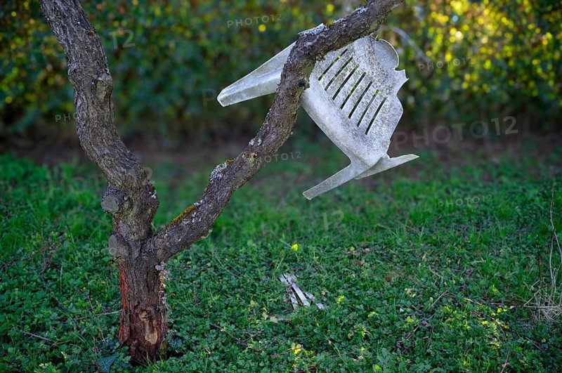 Monobloc seating furniture, chair, broken, defective, hanging in peach tree, Stuttgart, Baden-Württemberg, Germany