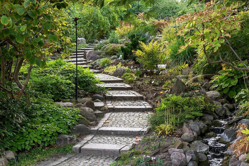 Stone staircase leads through lush green garden with peaceful atmosphere, Botanical Garden or Botanisk Have, University, Copenhagen, Denmark