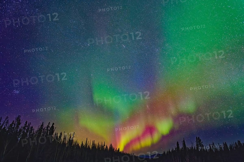 Aurora Borealis, Northern Lights, extreme starry sky, intense colouring, Yukon Territory, Canada