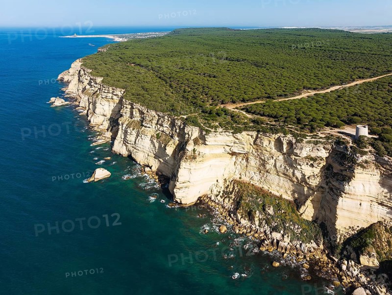 Cliff, pine tree (Pinus pinea) forest and watchtower Torre de Tajo in the Nature Reserve La Breña y Marismas del Barbate, in the distance Cape Trafalgar, aerial view, drone shot, Cádiz province, Andalusia, Spain