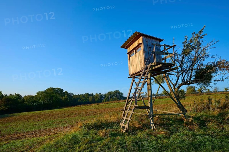 A wooden raised hide stands at the edge of a field under a clear blue sky in an autumnal landscape, autumn, Großheubach, Miltenberg, Spessart, Bavaria, Germany