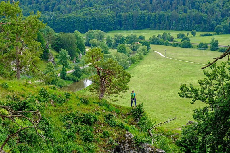 Altmühl, Altmühltal Panorama Trail, Twelve Apostles rock formation, near Solnhofen, Altmühltal, Middle Franconia, Franconia, Bavaria, Germany