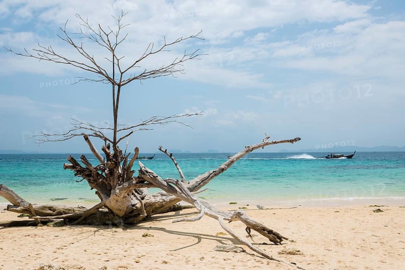 White sandy beach, Sunrise Beach, Koh Kradan, Hat Chao Mai National Park, Trang Province, Southern Thailand, Andaman Sea, Thailand