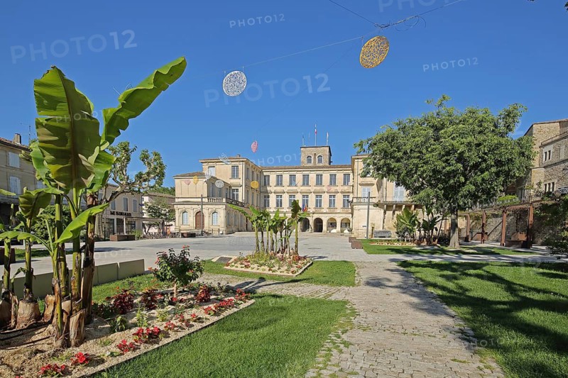 Château de Simiane, castle, chateau, banana tree, Valréas, Valreas, Vaucluse, Provence, France