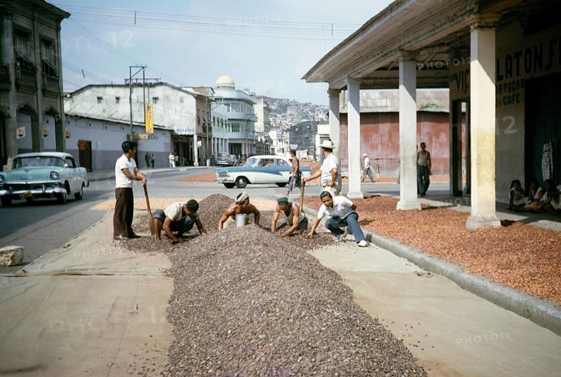 Men drying cocoa beans on the street, Guayaquil, Guayas province, Ecuador, South America 1962