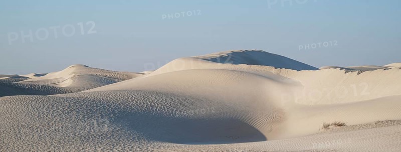 White sand dunes in the Khaluf Desert, Oman