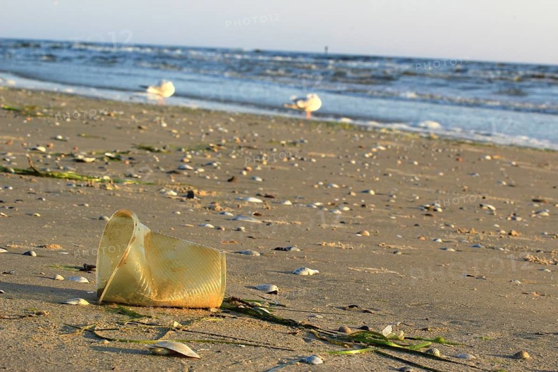 Plastic waste on the beach of the Baltic Sea, September, Germany