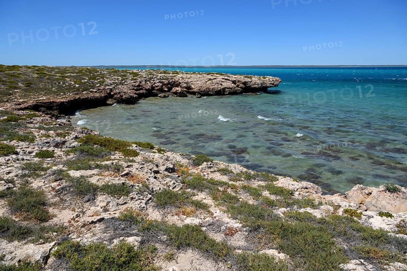 Landscape on Dirk Hartog Island, Dirk Hartog Island National Park, named after the Dutch navigator of the same name, Shire of Shark Bay, State of Western Australia, Australia