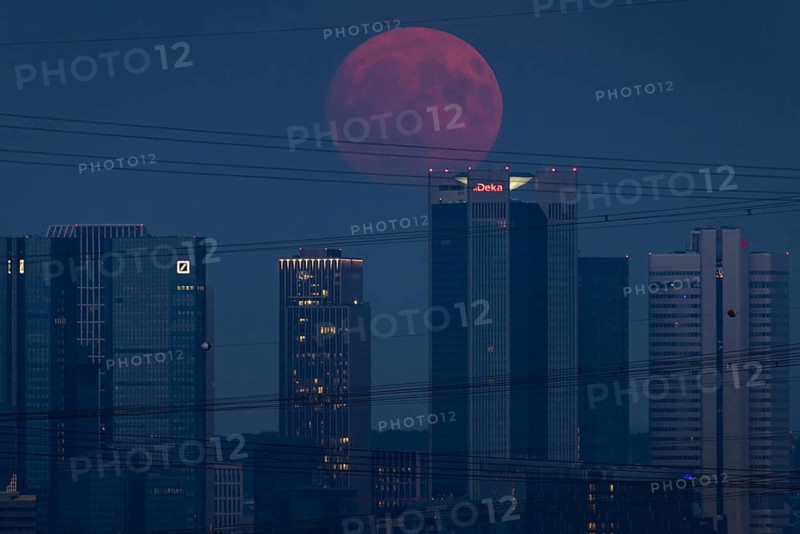 The red full moon passes over Frankfurt's banking skyline. Because of its reddish colour when it rises, the full moon in July is also known as the strawberry moon or blood moon, Frankfurt am Main, Hesse, Germany