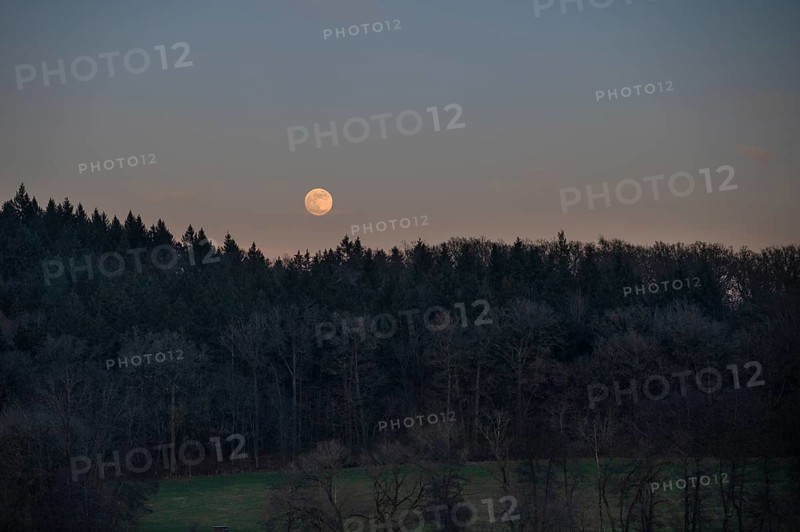 Full moon with forest landscape, Upper Bavaria, Germany